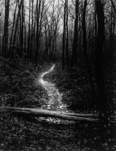 lequel chemin dois-je prendre ?